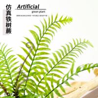 uploads/erp/collection/images/Home Garden/CongDing/XU0611644/img_b/XU0611644_img_b_2